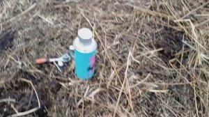 Осенние выходы. Хороший сохран