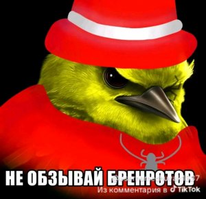 стрим по всяким экзюшкам