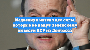 Медведчук назвал две силы, которые не дадут Зеленскому вывести ВСУ из Донбасса