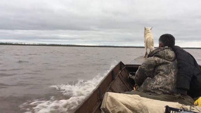 По Зее вверх_2