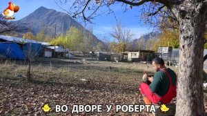 Содержание кур в домашних условиях и других птиц во дворе у Роберта 🐣🐤🦆🐔🪿🦃 (368)