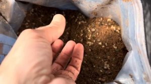 ПРОБУЮ 3 новых грунта для растений