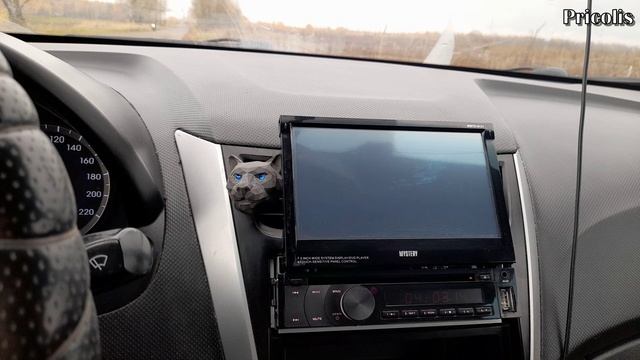 Какой видеокодек читает автомагнитола  Mystery MMTD-9121. Решение данной проблемы.