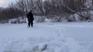 Здесь рыбы нет! Но я с хапугами!!!