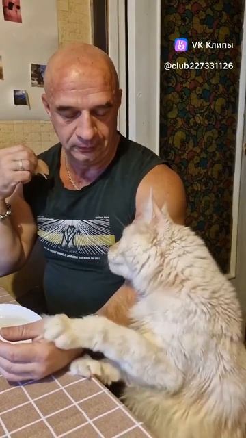 Приколы с животными