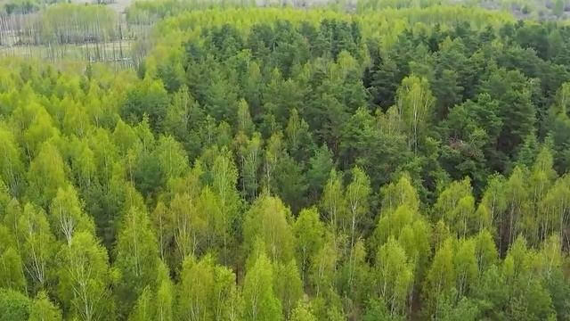 Руководитель Павловского межрайонного охототдела Борис Селяков