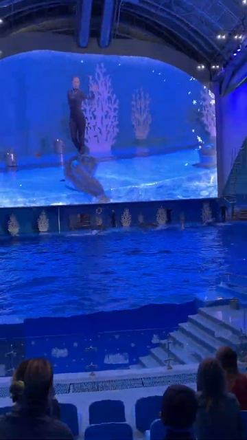 Океанариум на острове Русский, Приморье/Oceanarium on Russky Island, Primorye, 2020, part 10