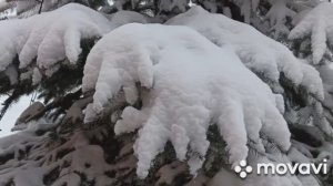 Запаслись продуктами на уральские снегопады.