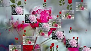 Волшебная Зимняя розовая сказка 1 от Киностудии Мудрого Кота Тимофея!