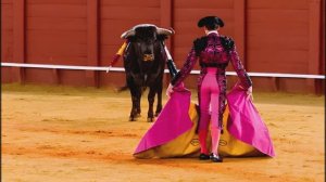 Тореро (Ария cover)