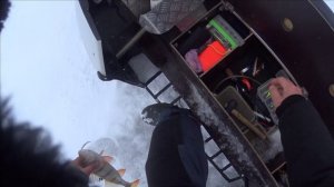 ВОТ ЭТО Я ПРОБУРИЛСЯ / УЛОВ С ОДНОЙ ЛУНКИ / СУДАК на БЛЕСНУ