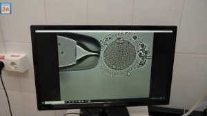 250 малышей появились на свет в этом году в Хакасии благодаря ЭКО