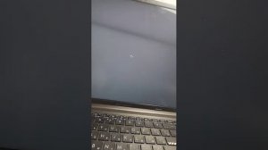 играем на стриме