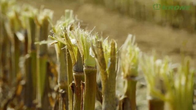 Кукурузные приставки для комбайна BiG X от KRONE