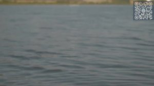 Молодая девушка на пляже. Эротика.