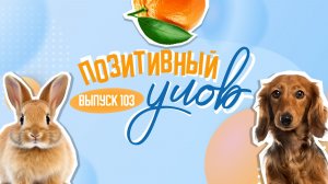 Такса-Робинзон и "снежные портреты". "Позитивный улов"