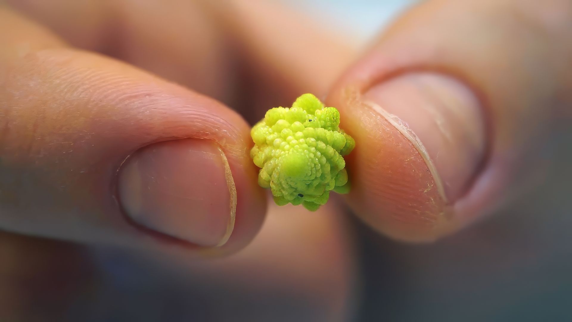 ЭТО ВЫРАСЛО ВНУТРИ МЕНЯ! смотреть онлайн