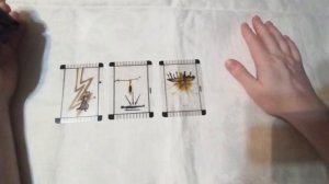 🔮ЧТО У МУЖЧИНЫ НА СЕРДЦЕ К ВАМ СЕЙЧАС🧔
ТАРО РАСКЛАД