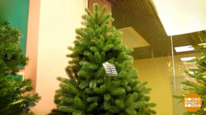 Выбираем искусственную елочку. Доброе утро. Фрагмент выпуска от 19.12.2025