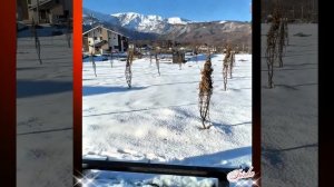 Новости дня о Тэхёне 19.12.25💥💯💥