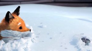 Лиса и мышь