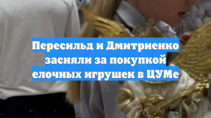 Пересильд и Дмитриенко засняли за покупкой елочных игрушек в ЦУМе