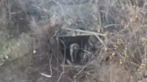 Выявление и подавление миномётного расчета