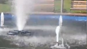 Если есть мечта оберегай её.