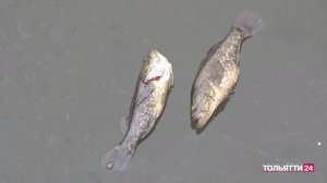 "Рыбацкие байки" 19.12.2025