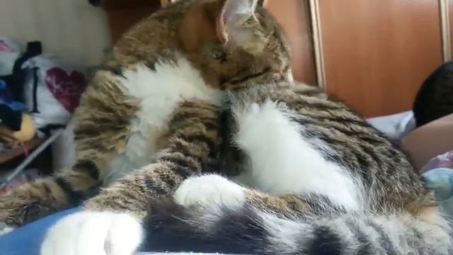 Бася моется июль 2016 смотреть онлайн