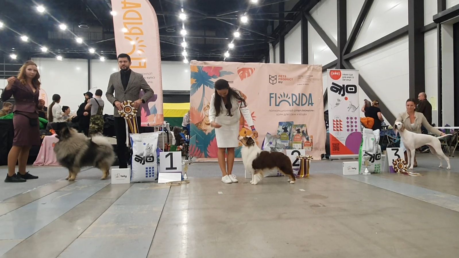 13.12.2025, "Кеннел-Клуб СПб" (РКФ, РФЛС). Выставка собак "ПЕТЕРБУРГСКИЕ ВСТРЕЧИ-2025" (САС, ЧРКФ)