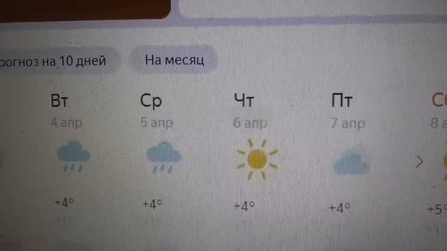 У нас морозы! Когда буду высаживать первые томаты в теплицу в 2023 году? Как я высчитала дату?