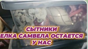 САМВЕЛ АДАМЯН, СЫТНИКИ, ЕЛКА САМВЕЛА ОСТАЕТСЯ У НАС..