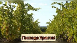 Даром - Бог даёт СПАСЕНИЕ /  REMIX с помощью ИИ