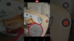 сегодня я а первые попробовалдрагоницй фрукт