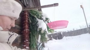 Вечерний фитнес.Сделала кормушку для птиц.