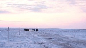 СК проверит состояние дороги "Сыктывкар – Нарьян-Мар" после обращения к Путину