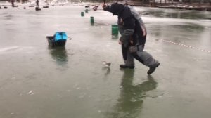 поимка форели на ратлин