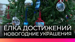 В Великом Новгороде появилась Ёлка достижений