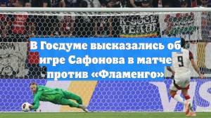 В Госдуме высказались об игре Сафонова в матче против «Фламенго»