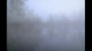 Игорь Двуреченский Безмолвие @ТатьянаЧ-к7щ