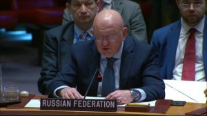 Выступление В.А.Небензи в СБ ООН по Ливии