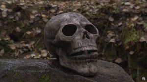 Дух Шушмора (английский язык)