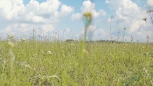 Облако кружилось.  (стих в прозе)