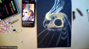 Попугай (пастель)