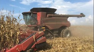 Farming Simulator 25. Тест карты Станица Старопольская. Выпуск №18