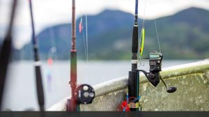 В Госдуме оценили возобновление сотрудничества с Норвегией в рыболовстве