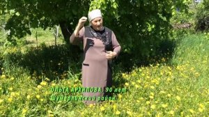 Отрывок из поэмы Константина Иванова «Нарспи»