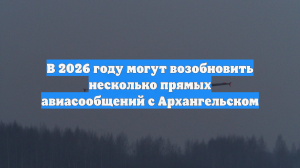 В 2026 году могут возобновить несколько прямых авиасообщений с Архангельском