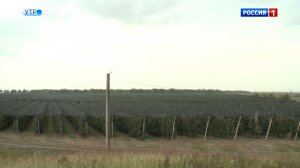 Площадь посадок плодово ягодных растений в КБР выросла вдвое